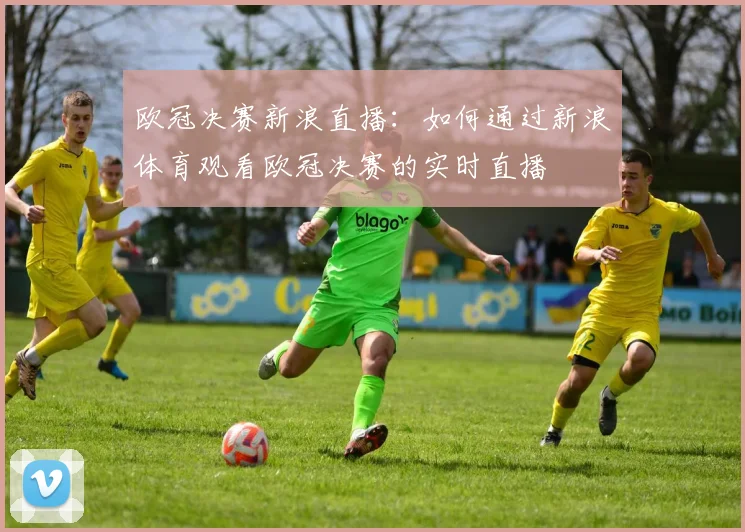 欧冠决赛新浪直播：如何通过新浪体育观看欧冠决赛的实时直播