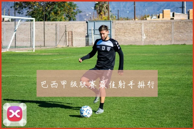 巴西甲级联赛最佳射手排行