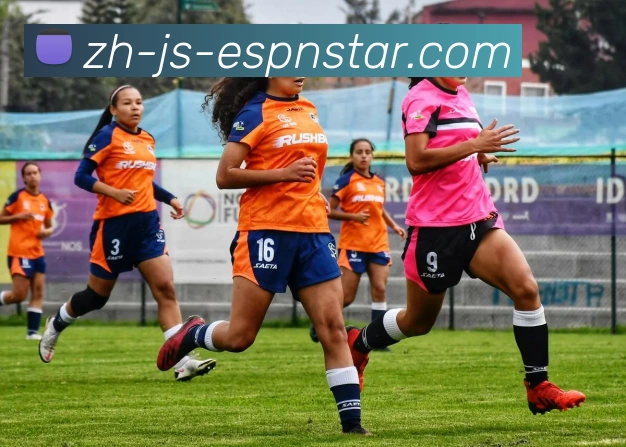 五大联赛直播发展历程